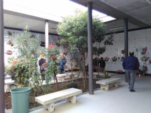 Cimitero di Viarolo - benedizione 1 novembre 2016